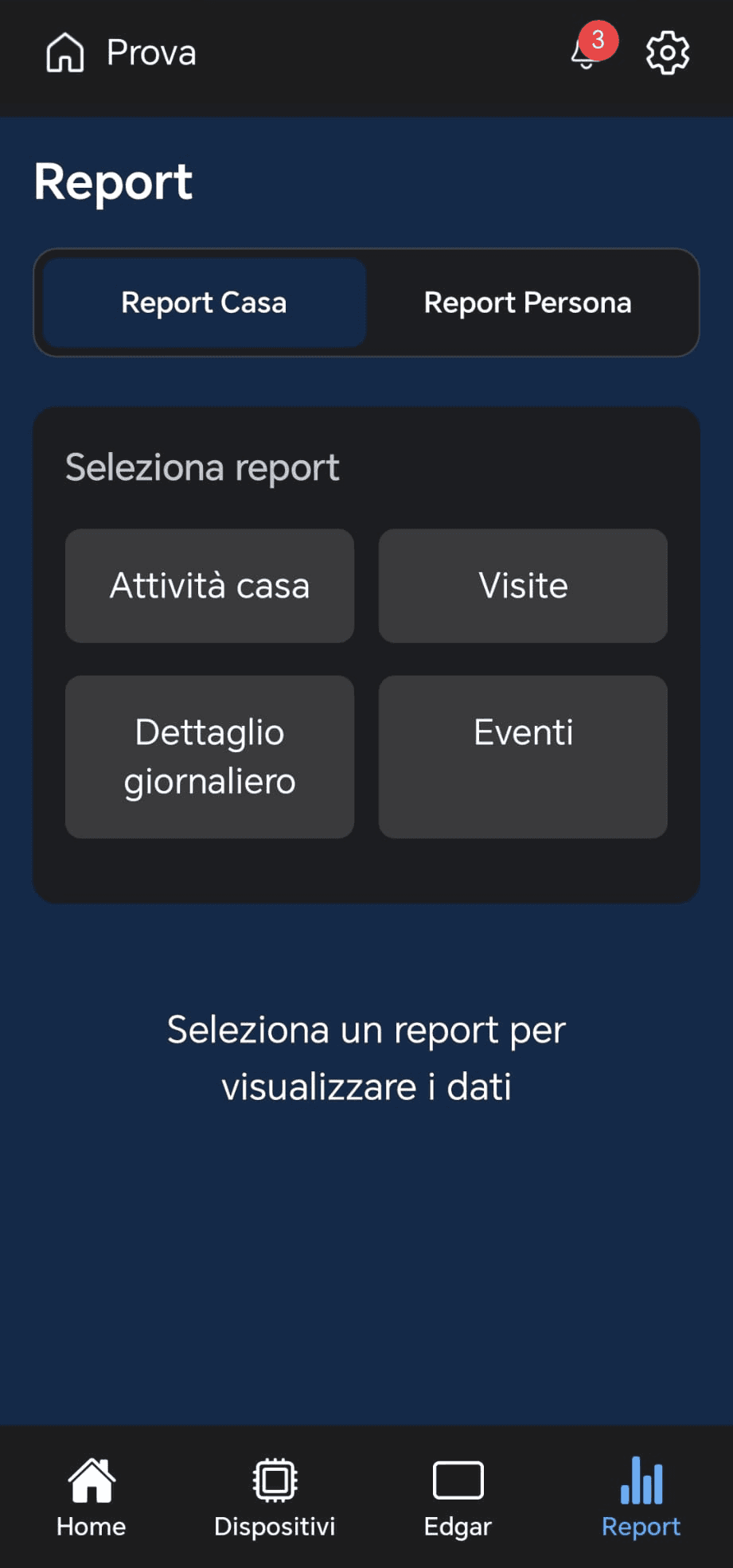 Report